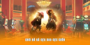luật chơi đá gà